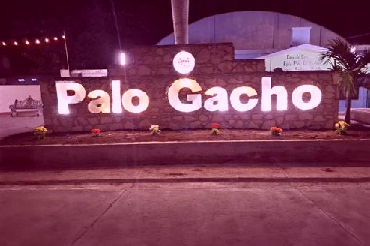Clara, 39 — Escort in Palo Gacho, Mexico