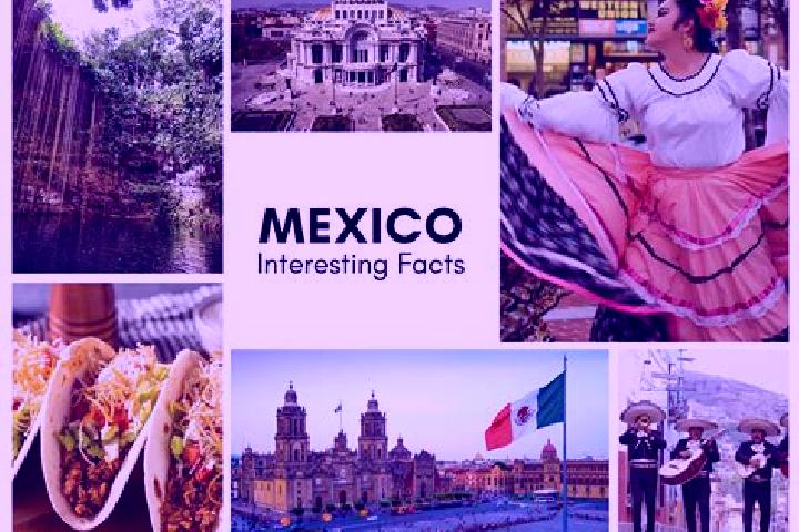 Clara, 39 — Escort in Tlatzintla, Mexico