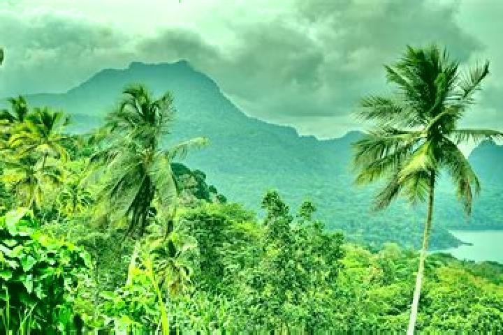 Eleanor, 20, a auburn amber-eyed caribbean companion based in Sao Tome. Offering 69, Party Girl, Dinner Date. Available for incall and outcall, overnight boo...