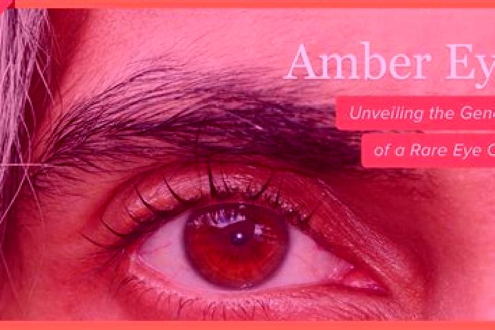 Eleanor, 20, a black amber-eyed caucasian companion based in Sao Joao do Araguaia. Offering Erotic Massage, Domination, Dinner Date, Tantra, Deep French Kiss...