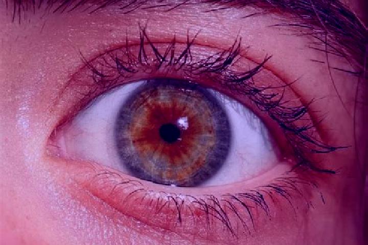 Eleanor, 20, a red hazel-eyed mediterranean companion based in Ebon. Offering Tantra, 69. Available for incall and outcall, day and evening dates.
