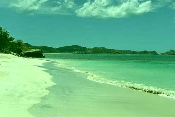 Eleanor, 20 — Escort in Carlisle, Antigua and Barbuda