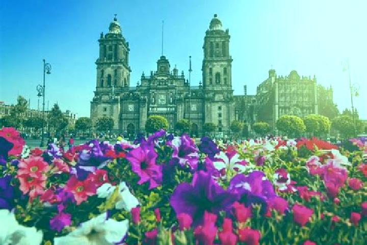 Eleanor, 20 — Escort in Ciudad Ayala, Mexico