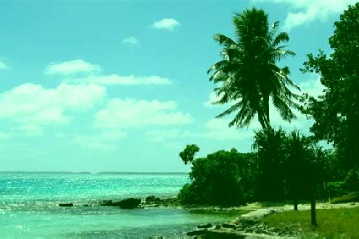 Eleanor, 20 — Escort in Makin Village, Kiribati