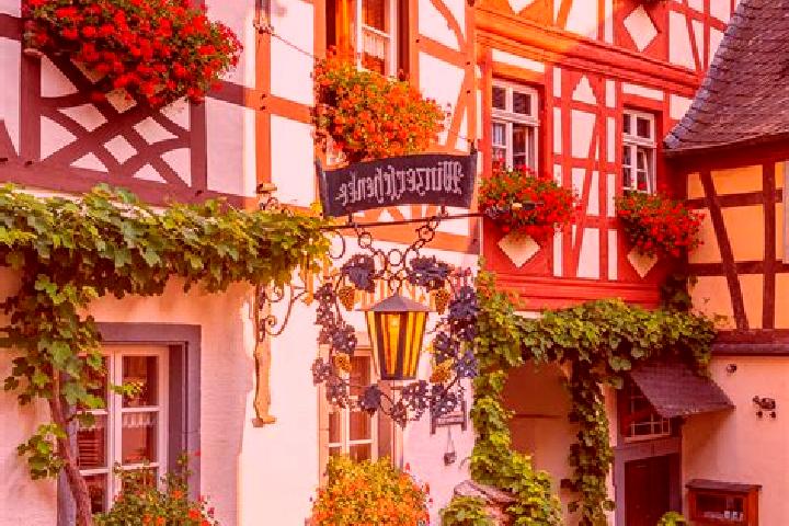 Eleanor, 20 — Escort in Munsterappel, Germany