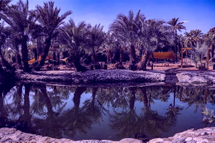 Eleanor, 21, a black blue-eyed mediterranean companion based in Al Qatif. Offering OWO, Girlfriend Experience. Available for incall and outcall, overnight bo...
