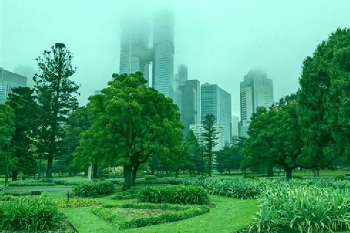 Eleanor, 21 — Escort in Birmingham Gardens, Australia