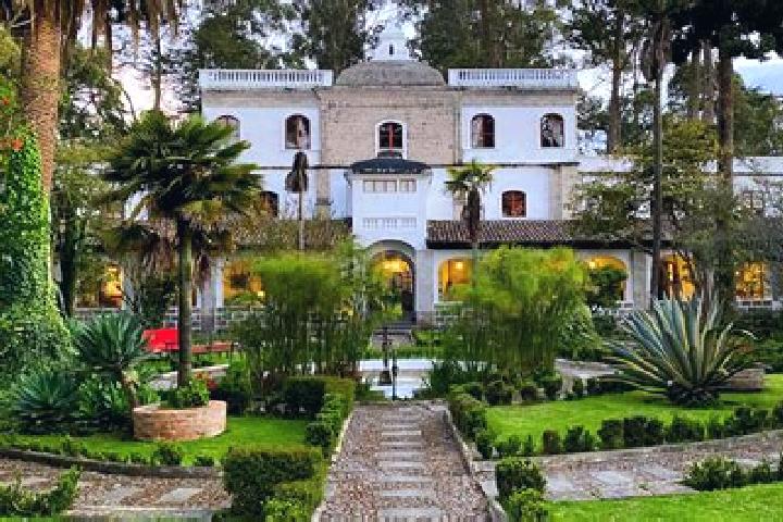Eleanor, 21 — Escort in La Penuela, Mexico