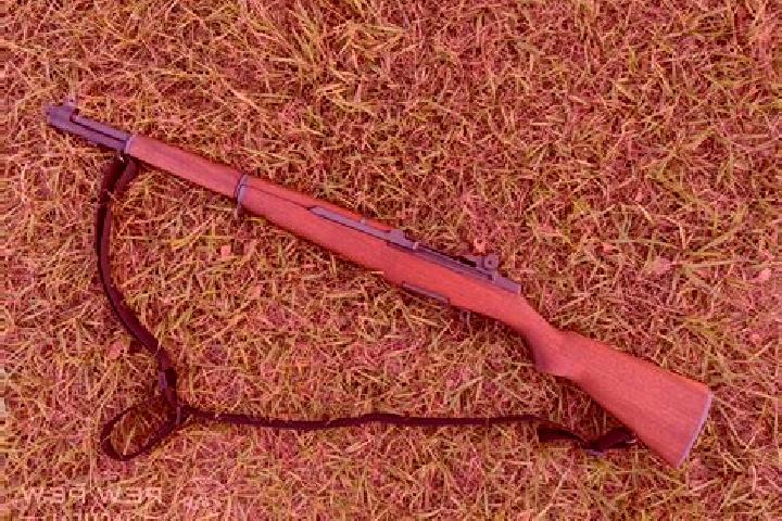 Eleanor, 21 — Escort in Rifle, United States