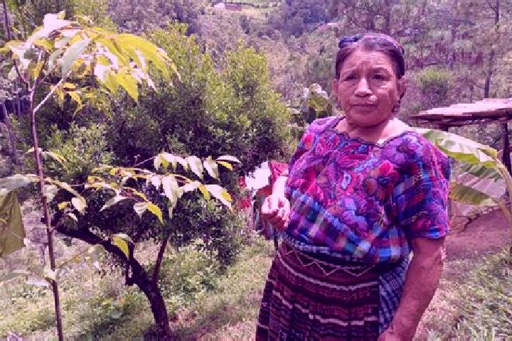 Eleanor, 21 — Escort in Santa Maria Chiquimula, Guatemala