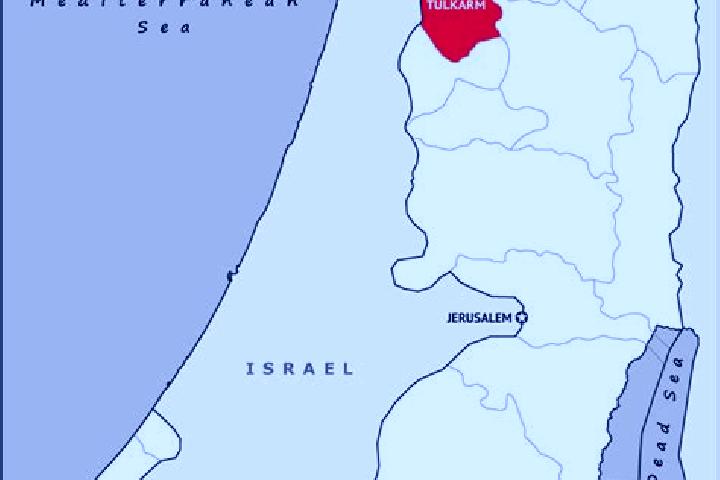 Eleanor, 21 — Escort in Tulkarm, Palestine