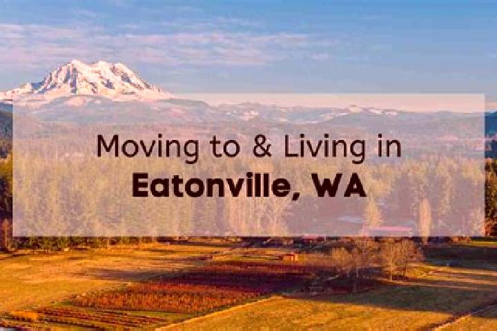 Eleanor, 22 — Escort in Eatonville, United States
