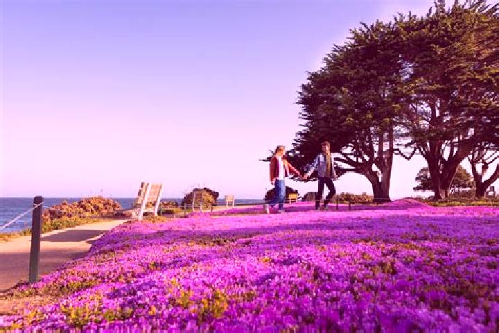 Eleanor, 22 — Escort in Pacific Grove, United States