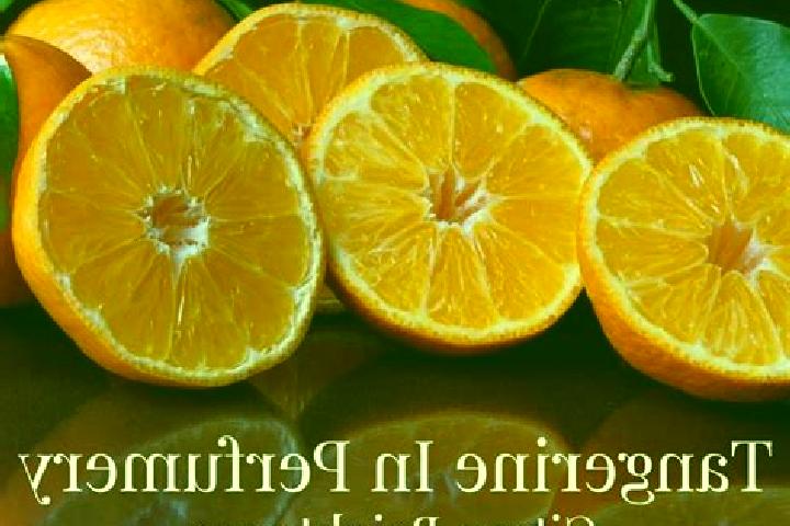 Eleanor, 22 — Escort in Tangerine, United States