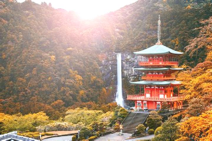 Eleanor, 22 — Escort in Wakayama, Japan