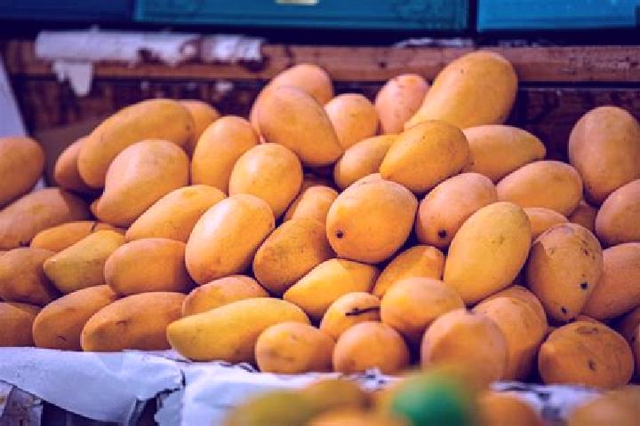Eleanor, 23 — Escort in Colonia Mangos (El Quemado), Mexico