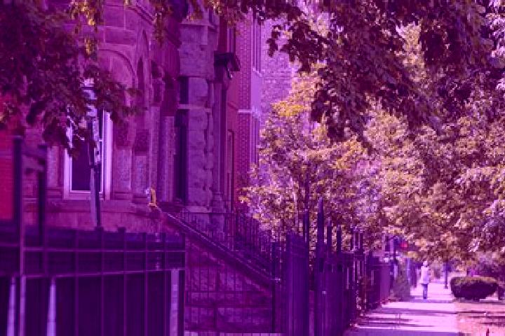 Eleanor, 23 — Escort in East Garfield Park, United States