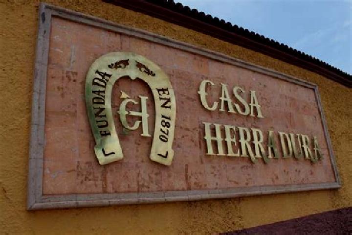 Eleanor, 23 — Escort in San Juan Tomasquillo Herradura, Mexico
