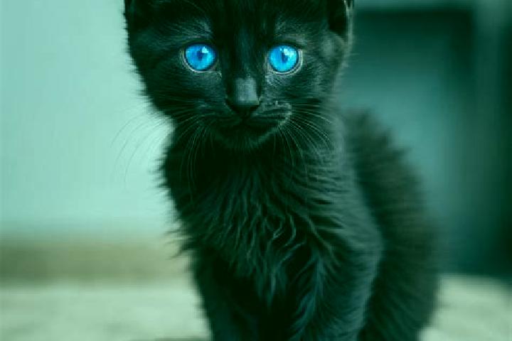 Eleanor, 24, a black blue-eyed mediterranean companion based in Yalankoz. Offering BDSM, Couples, Overnight. Available for incall and outcall, overnight book...