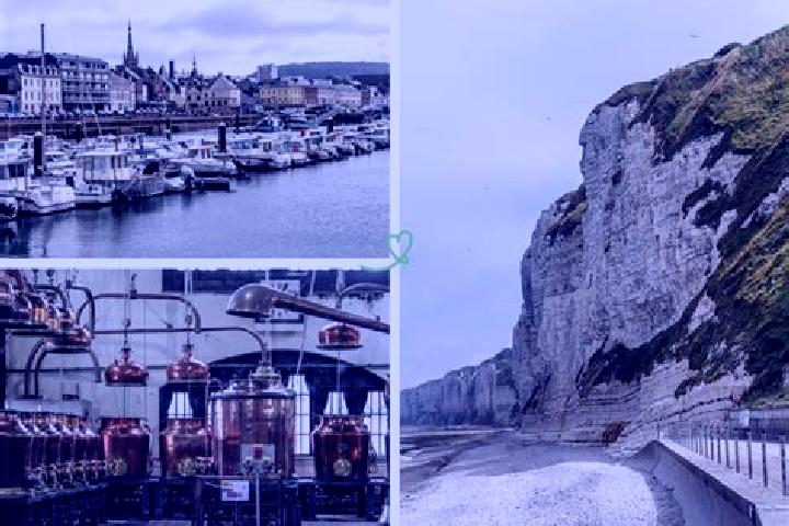 Eleanor, 24 — Escort in Fecamp, France