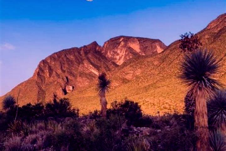 Eleanor, 24 — Escort in La Flor de Jimulco, Mexico