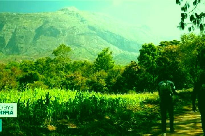 Eleanor, 24 — Escort in Mulanje, Malawi