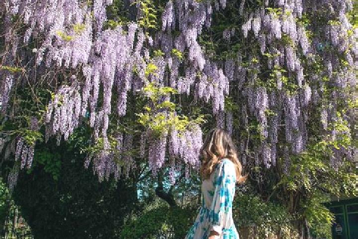 Eleanor, 24 — Escort in Schitu, Romania