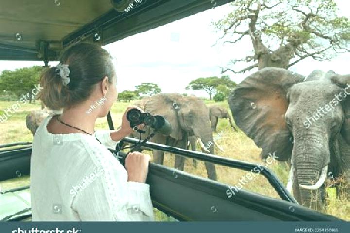 Eleanor, 24 — Escort in Suguta, Kenya