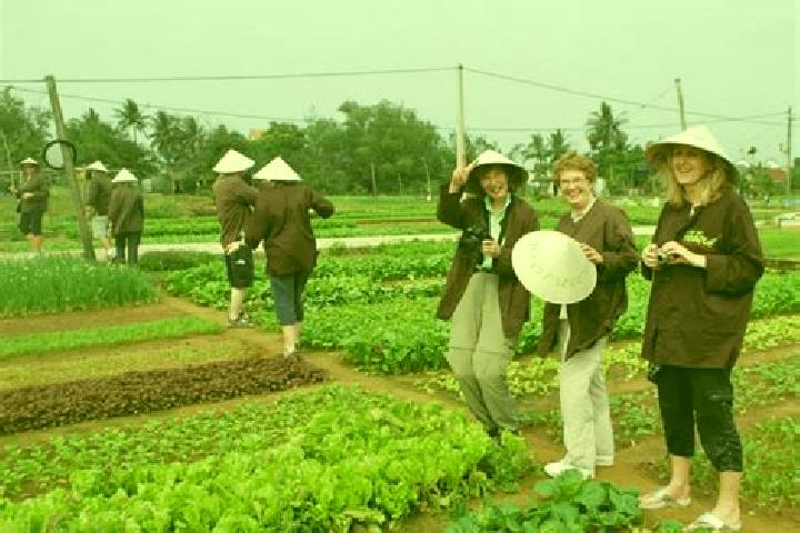 Eleanor, 25 — Escort in Tra Que Vegetable Village, Vietnam