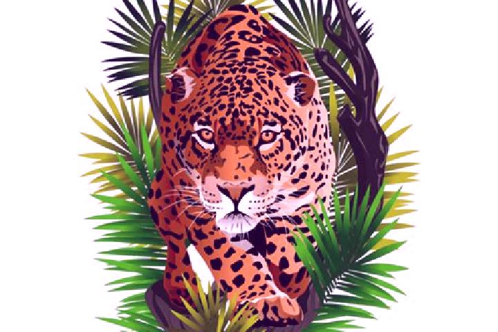Eleanor, 26 — Escort in Onca, Brazil
