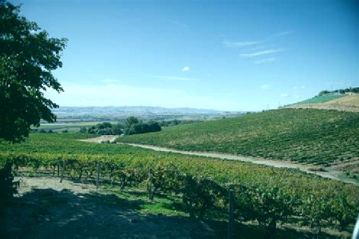 Eleanor, 26 — Escort in Vineyards, United States