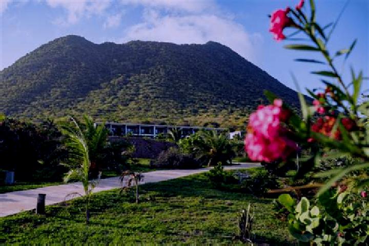Eleanor, 27 — Escort in Golden Rock, Bonaire