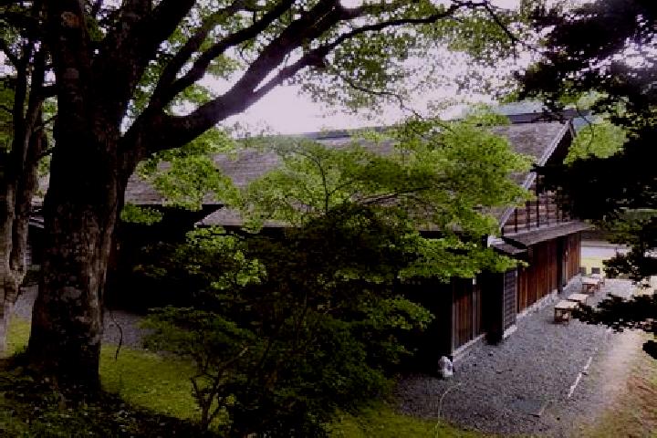 Eleanor, 27 — Escort in Kitahiroshima, Japan