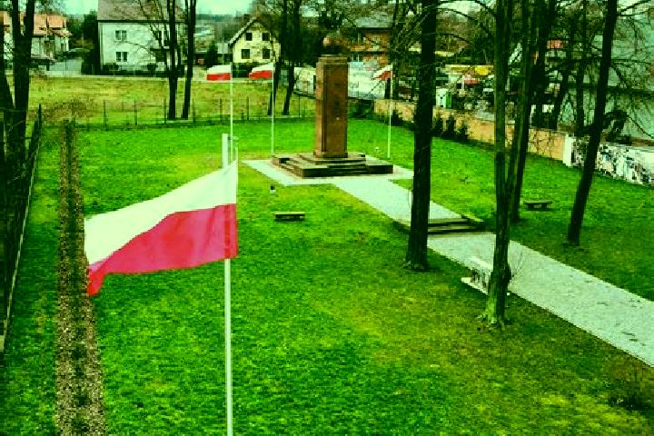 Eleanor, 27 — Escort in Stare Pole, Poland