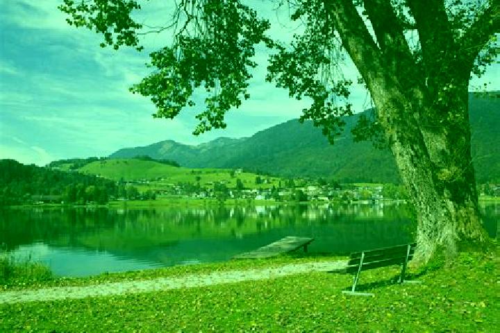 Eleanor, 27 — Escort in Vorderthiersee, Austria