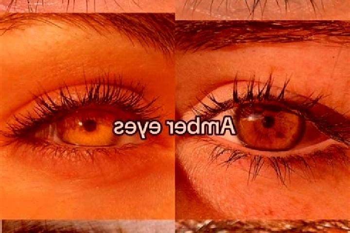 Eleanor, 28, a brunette amber-eyed indian companion based in Bobashi de Guadalupe. Offering Party Girl, CIM, Duos, A-Level, Girlfriend Experience. Available ...