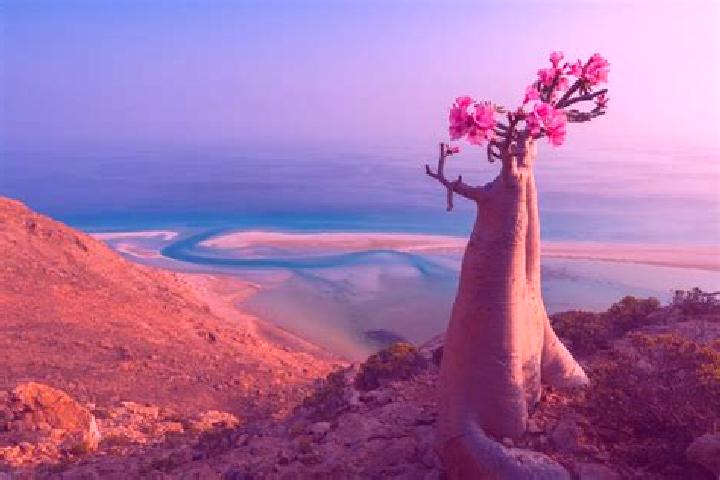 Eleanor, 28 — Escort in Suq Shamar, Yemen
