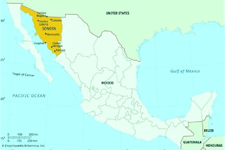 Eleanor, 29 — Escort in Agua Senora, Mexico