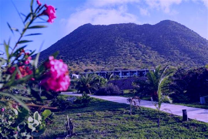 Eleanor, 29 — Escort in Golden Rock, Bonaire