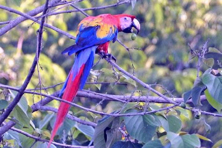 Eleanor, 30 — Escort in El Guacamayo, Colombia