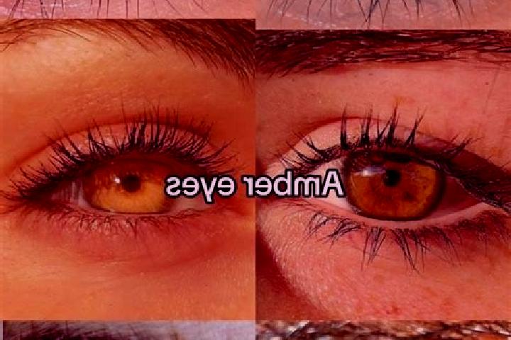 Eleanor, 31, a chestnut amber-eyed ebony companion based in Casamicciola Terme. Offering 69, Overnight, Deep French Kissing, BDSM. Available for incall and o...