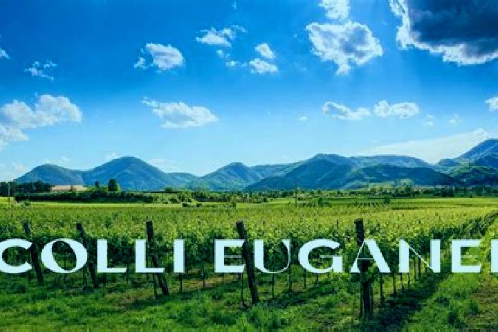 Eleanor, 31 — Escort in Colli di Enea, Italy