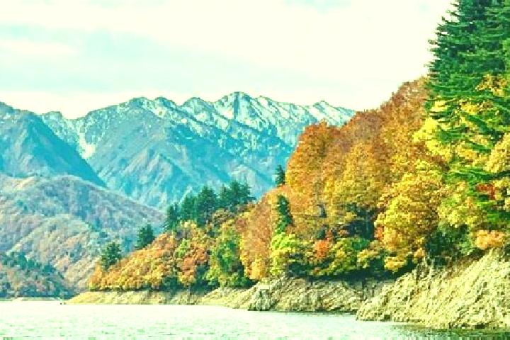 Eleanor, 31 — Escort in Niigata, Japan