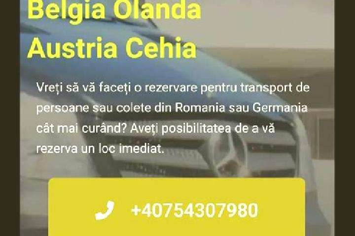 Eleanor, 32 — Escort in Bucsana, Romania
