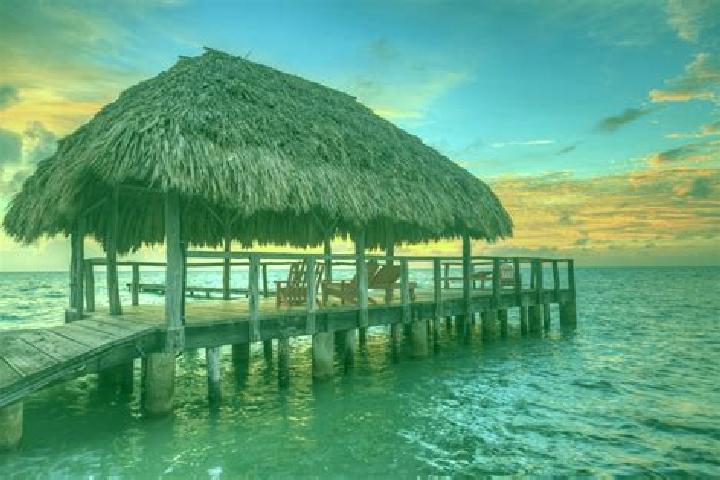 Eleanor, 33 — Escort in Paraiso, Belize