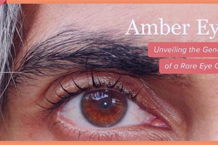 Eleanor, 34, a black amber-eyed caucasian companion based in Tlalixtlahuac. Offering Striptease, Massage, Party Girl, Travel Companion. Available for incall ...