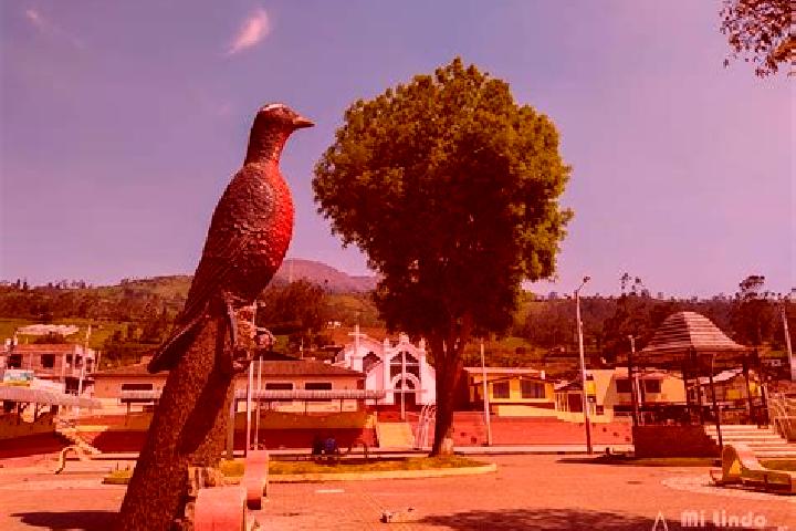Eleanor, 34 — Escort in Quimiag, Ecuador