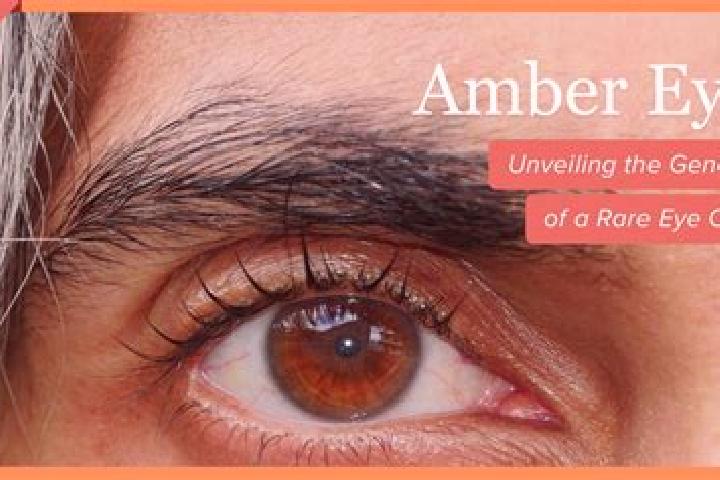 Eleanor, 35, a red amber-eyed mixed companion based in El Tepozan. Offering Duos, Domination, Erotic Massage. Available for incall and outcall, overnight boo...