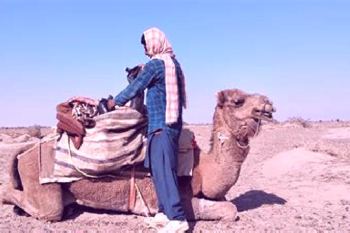 Eleanor, 35 — Escort in Dasht-e Archi, Afghanistan