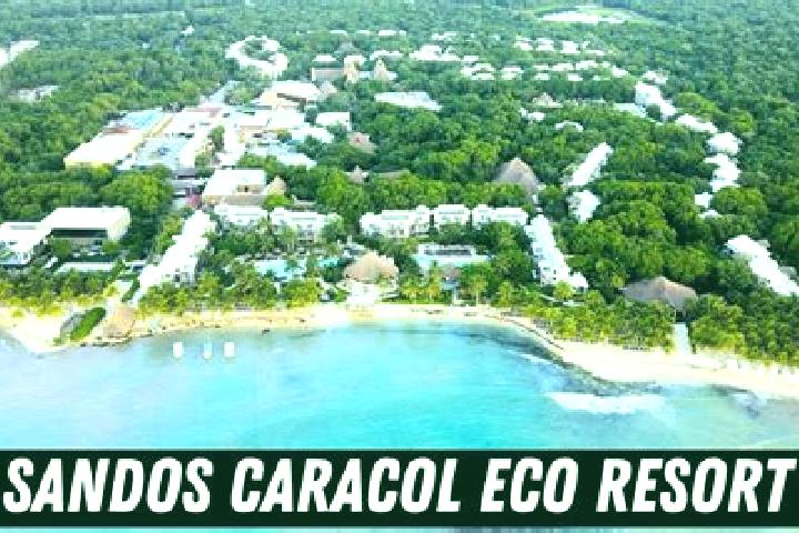 Eleanor, 35 — Escort in El Caracol, Mexico